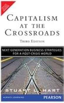CAPITALISM AT THE CROSSROADS : NEXT GENERATION BUSINESS STRATEGIES FOR A POST CRISIS WORLD 3RD ED